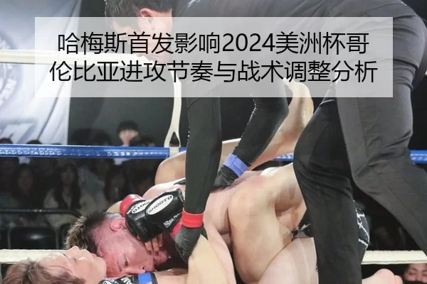 ha-mei-si-shou-fa-ying-xiang-mei-zhou-bei-ge-lun-bi-ya-jin-gong-jie-zou-yu-zhan-shu-tiao-zheng-fen-xi-2-341.jpg